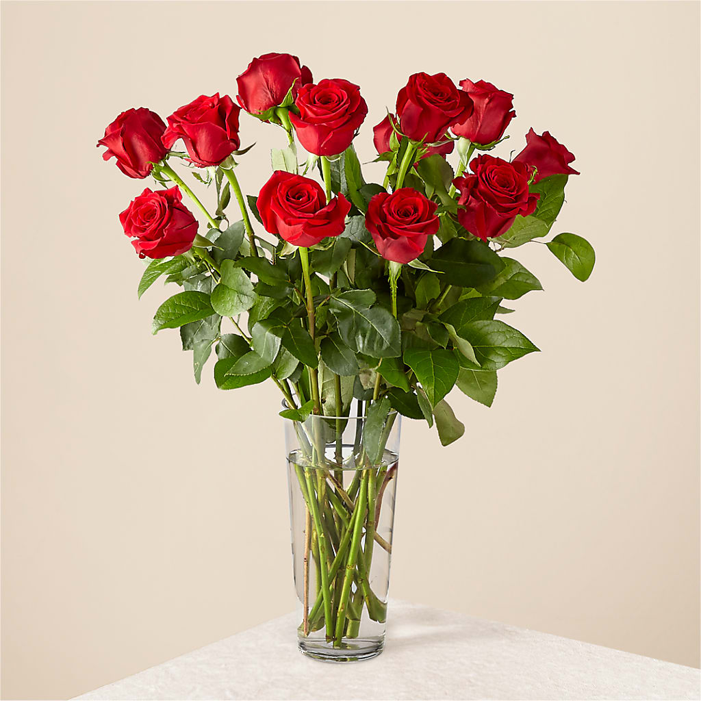 Long Stem Red Rose Bouquet – Floreria Mexico #2, Torrance CA