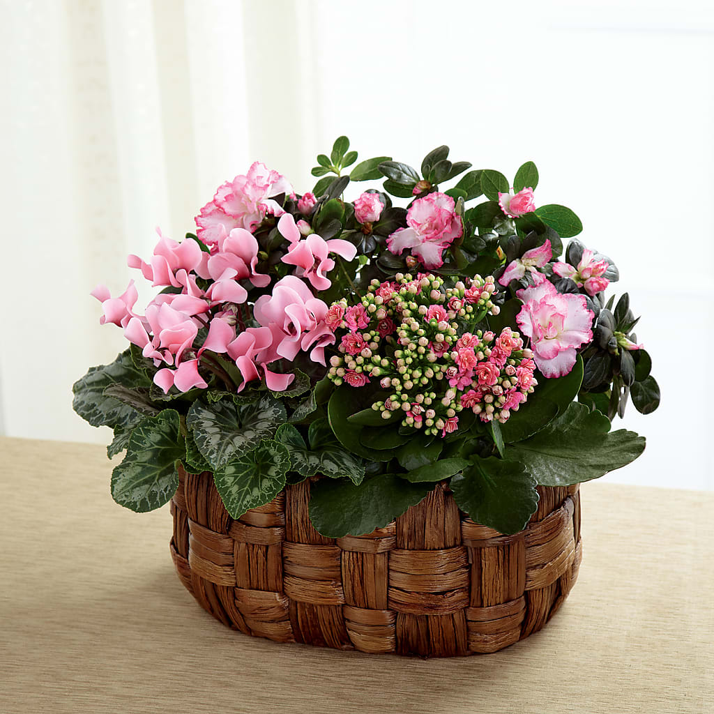 Pink Assortment – Floreria Mexico #2, Torrance CA