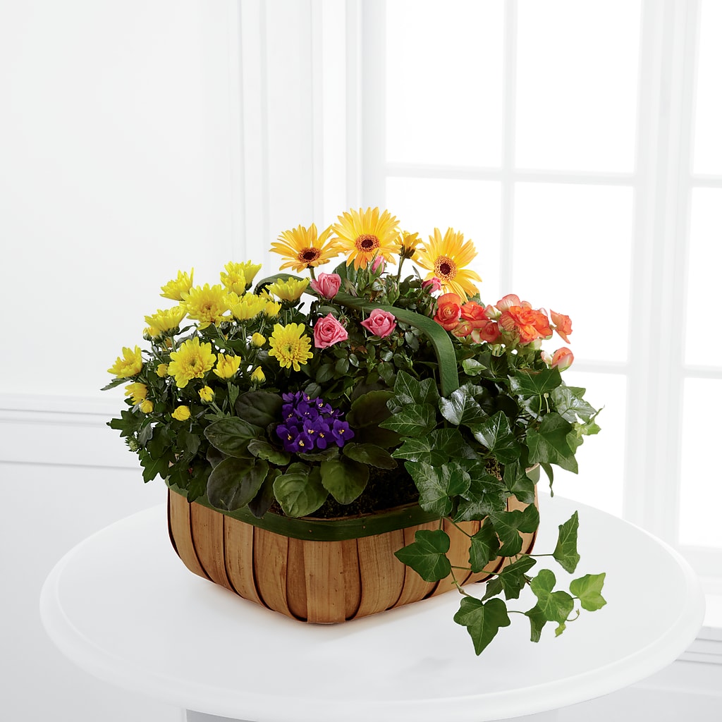 Gentle Blossoms Basket – Floreria Mexico #2, Torrance CA