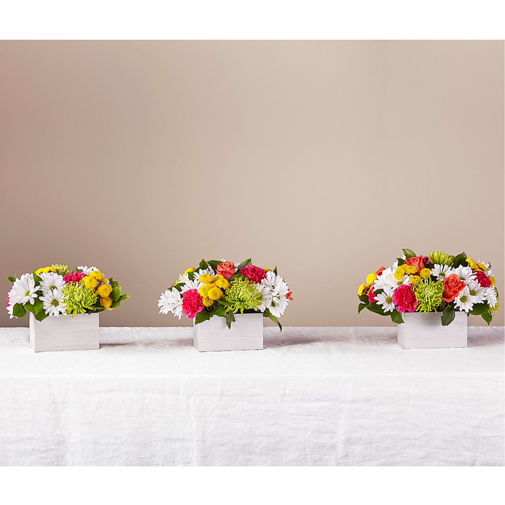 Sorbet Bouquet – Floreria Mexico #2, Torrance CA