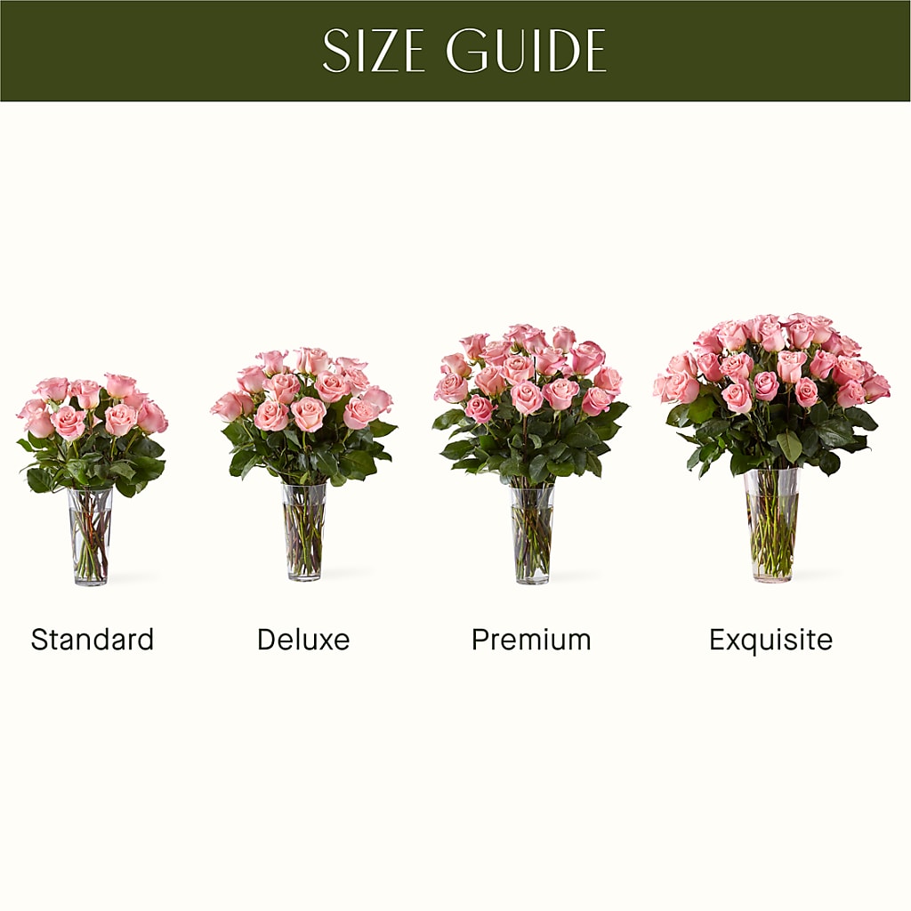 Long Stem Pink Rose Bouquet – Floreria Mexico #2, Torrance CA