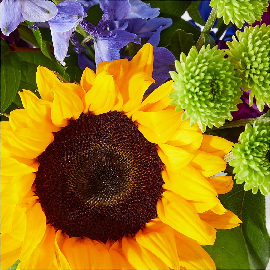 Catching Rays Bouquet – Floreria Mexico #2, Torrance CA