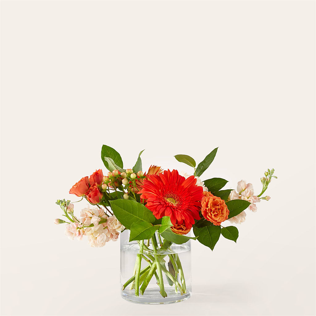 Paloma Please Bouquet – Floreria Mexico #2, Torrance CA