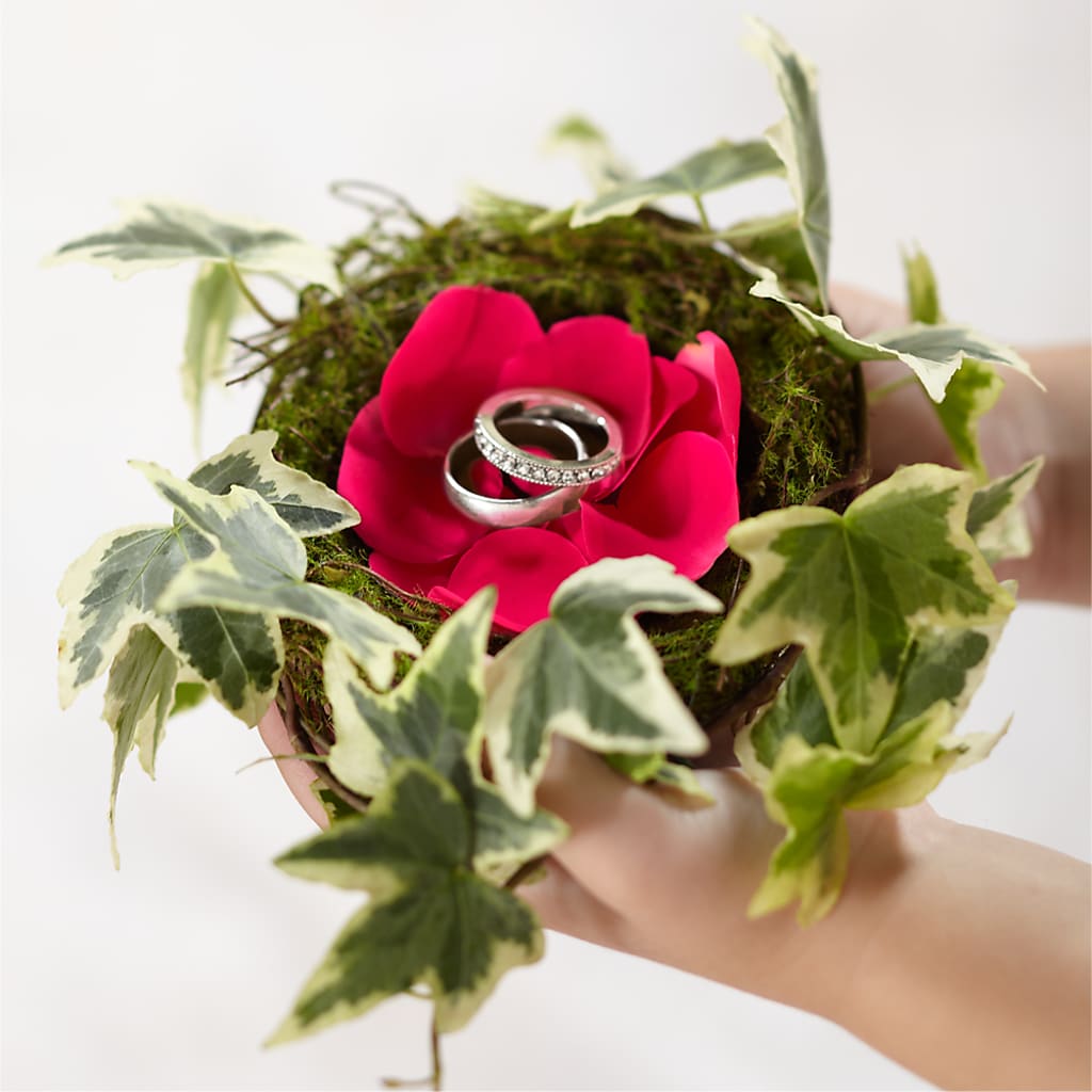Lila Rose Ring Nest – Floreria Mexico #2, Torrance CA