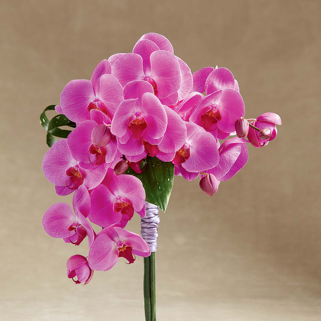 Glorious Bouquet – Floreria Mexico #2, Torrance CA