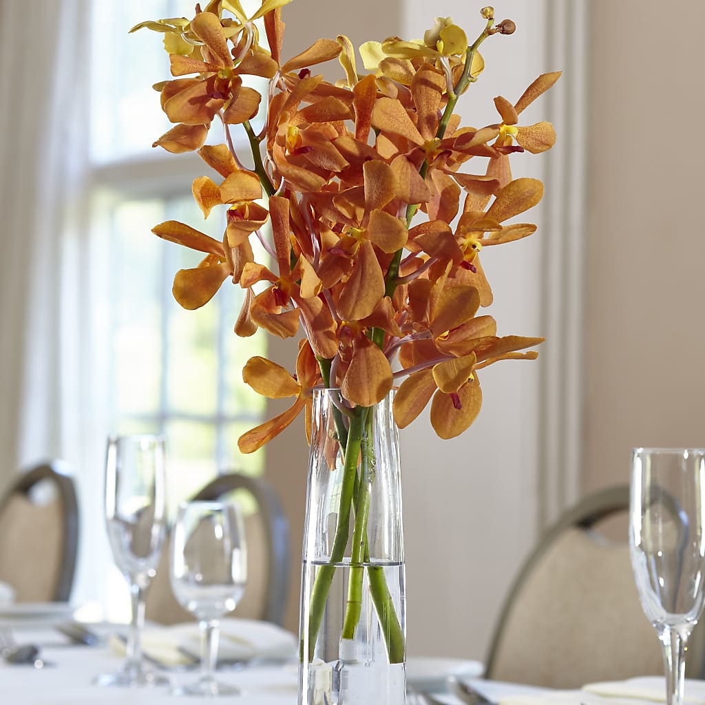 Orange Mokara Bud Vase – Floreria Mexico #2, Torrance CA