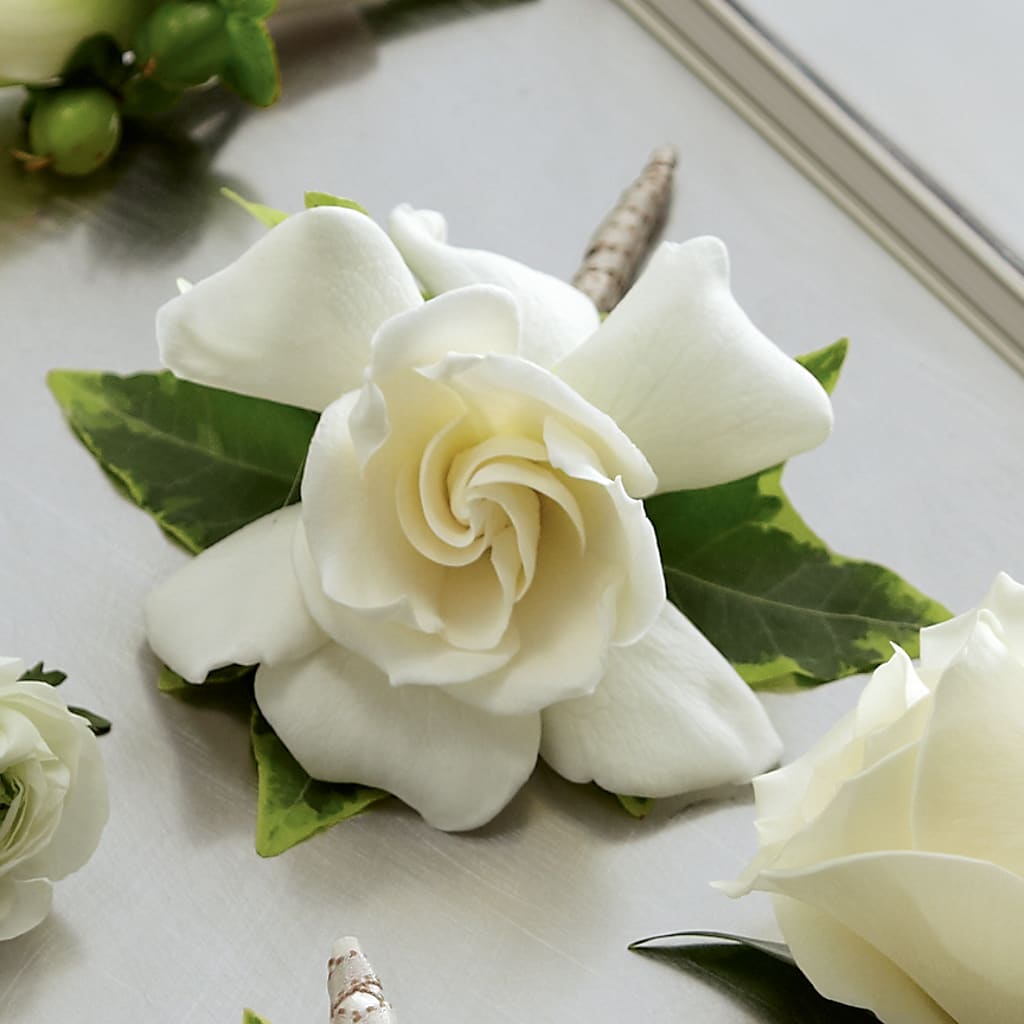 Gardenia Boutonniere – Floreria Mexico #2, Torrance CA