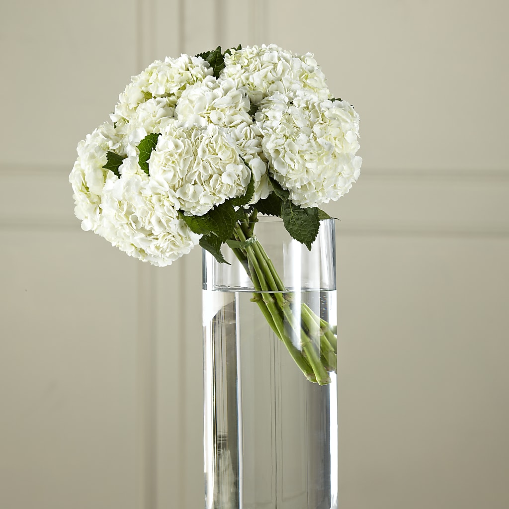 White Hydrangea Hand-Tied Bouquet – Floreria Mexico #2, Torrance CA