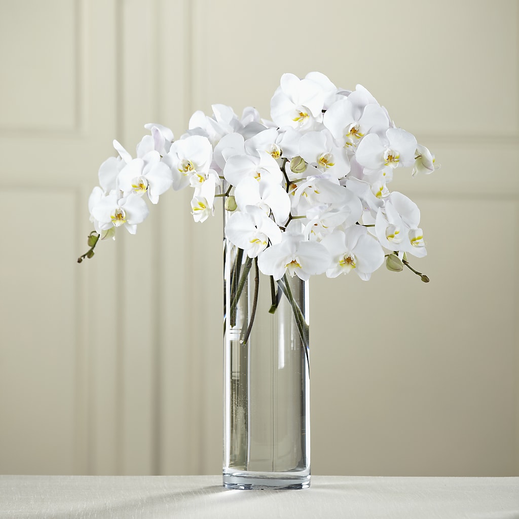 White Phalaenopsis Bouquet – Floreria Mexico #2, Torrance CA