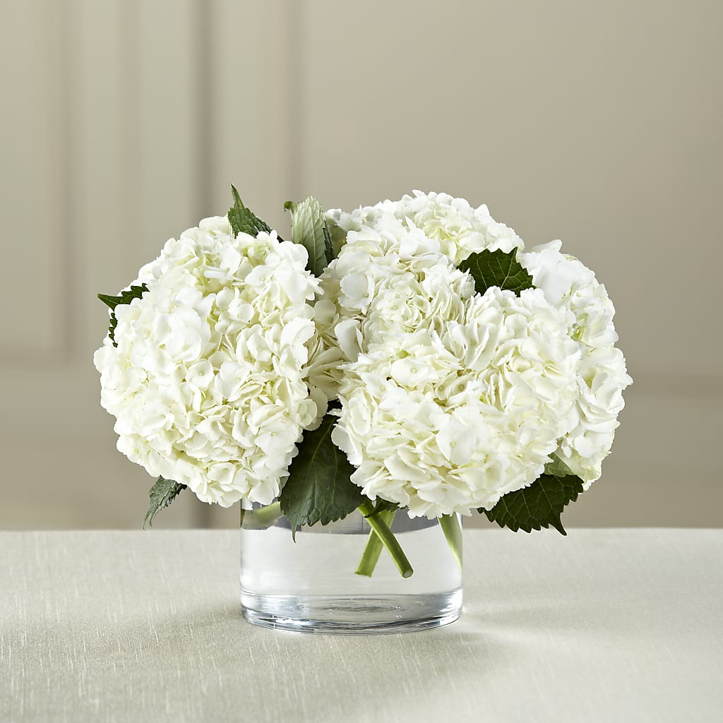 White Hydrangea Bouquet – Floreria Mexico #2, Torrance CA
