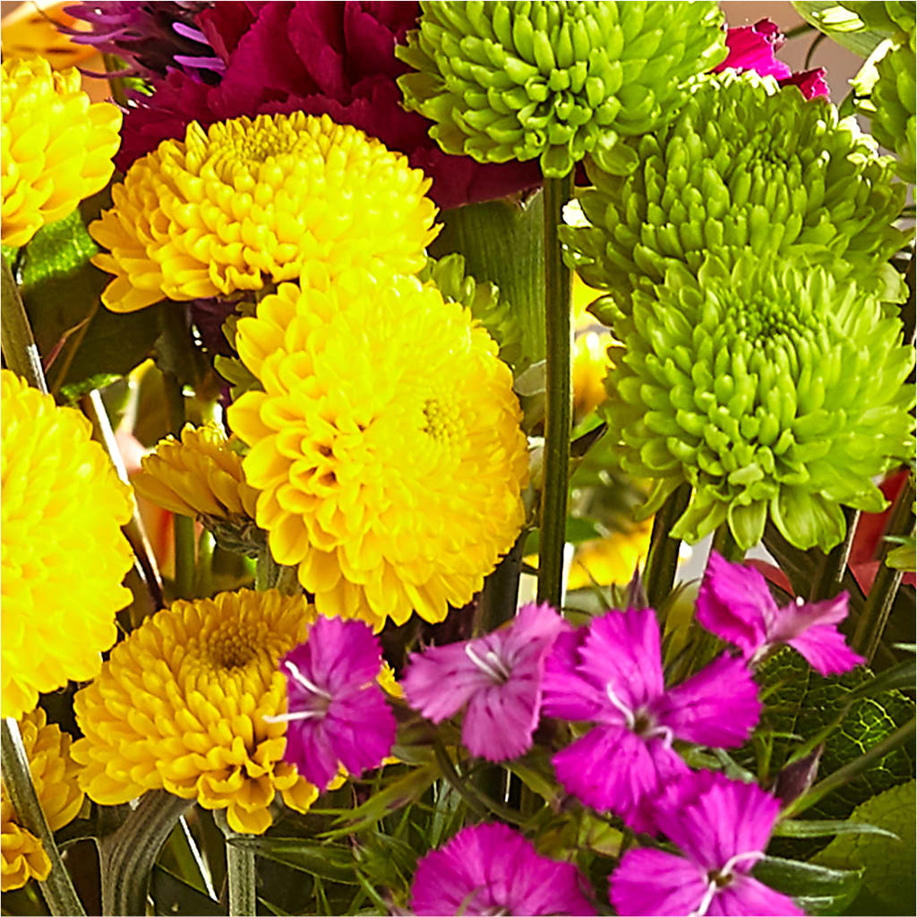 Bold & Bright – A Florist Original –  Floreria Mexico #2, Torrance CA