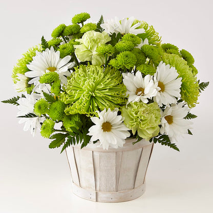 Lucky Charm Basket (Standard) –  Floreria Mexico #2, Torrance CA