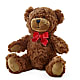 Adorable Plush Bear –  Floreria Mexico #2, Torrance CA