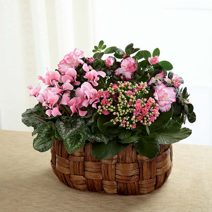 Pink Assortment –  Floreria Mexico #2, Torrance CA