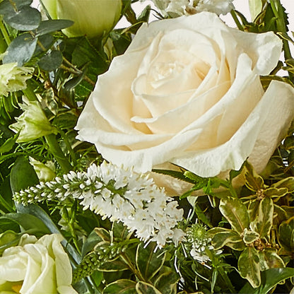 Cashmere Bouquet –  Floreria Mexico #2, Torrance CA