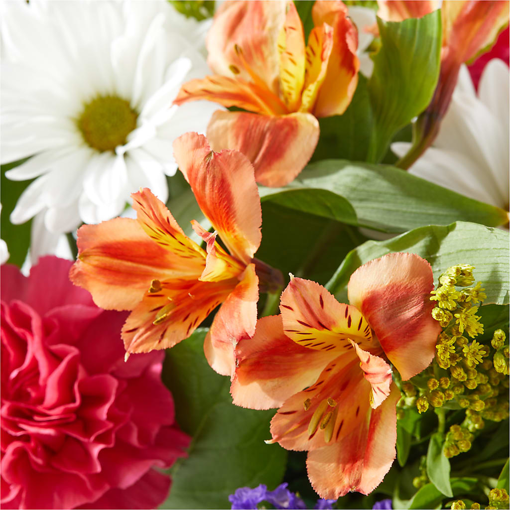 Oopsie Daisy Box Bouquet –  Floreria Mexico #2, Torrance CA