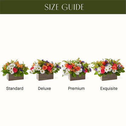 Oopsie Daisy Box Bouquet –  Floreria Mexico #2, Torrance CA