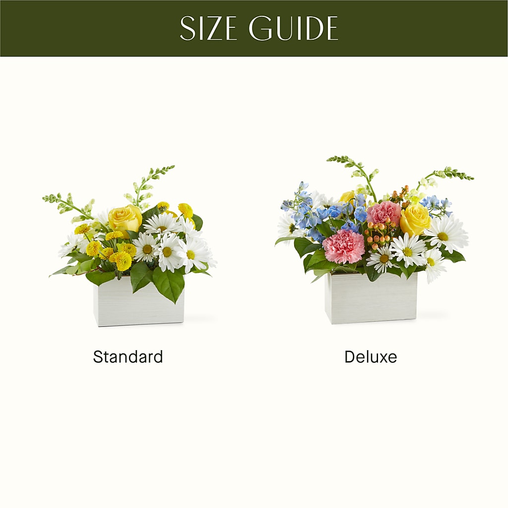 Sun Salutation Box Bouquet –  Floreria Mexico #2, Torrance CA