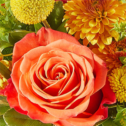 Gourdgeous Pumpkin –  Floreria Mexico #2, Torrance CA