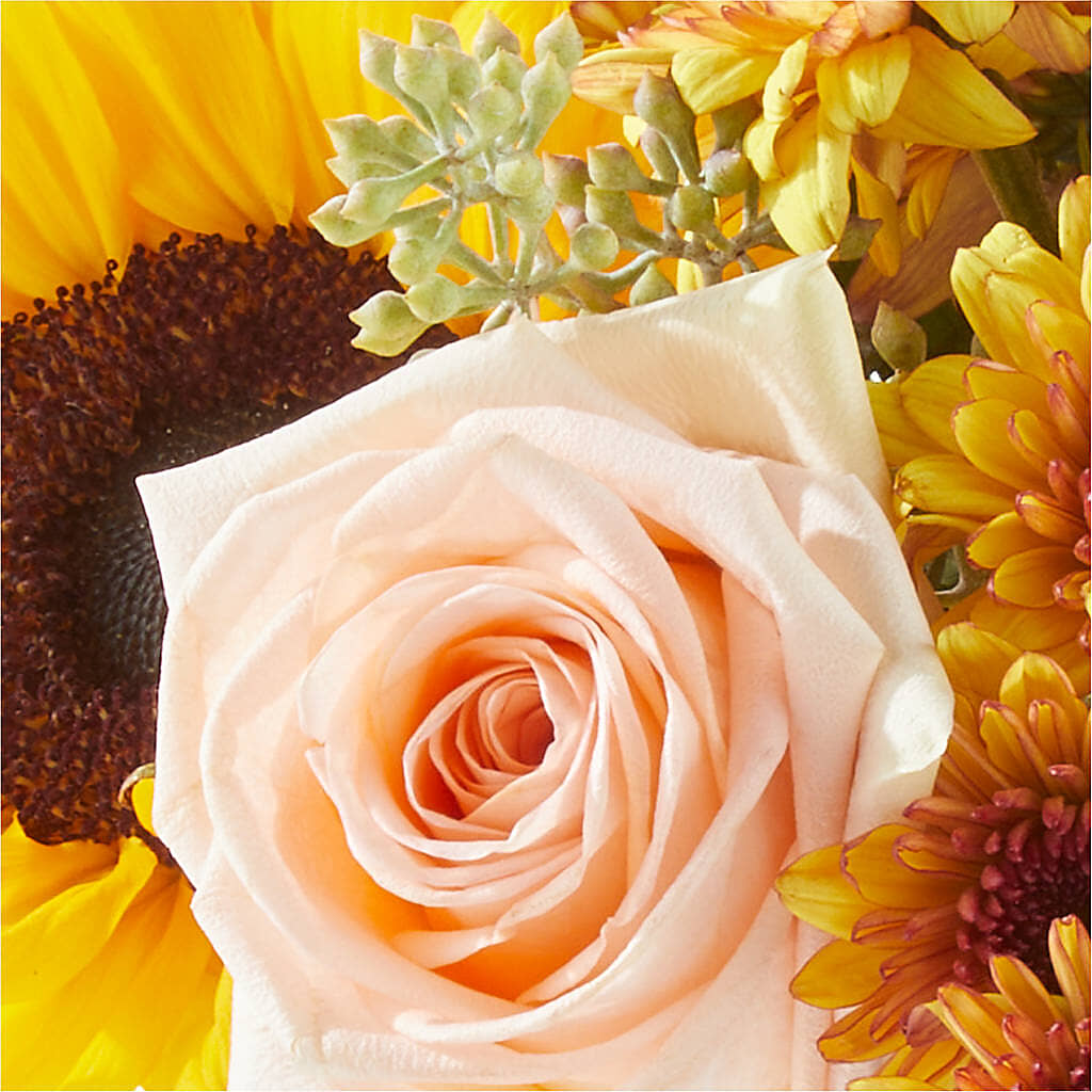 Pumpkin to Talk About Bouquet –  Floreria Mexico #2, Torrance CA