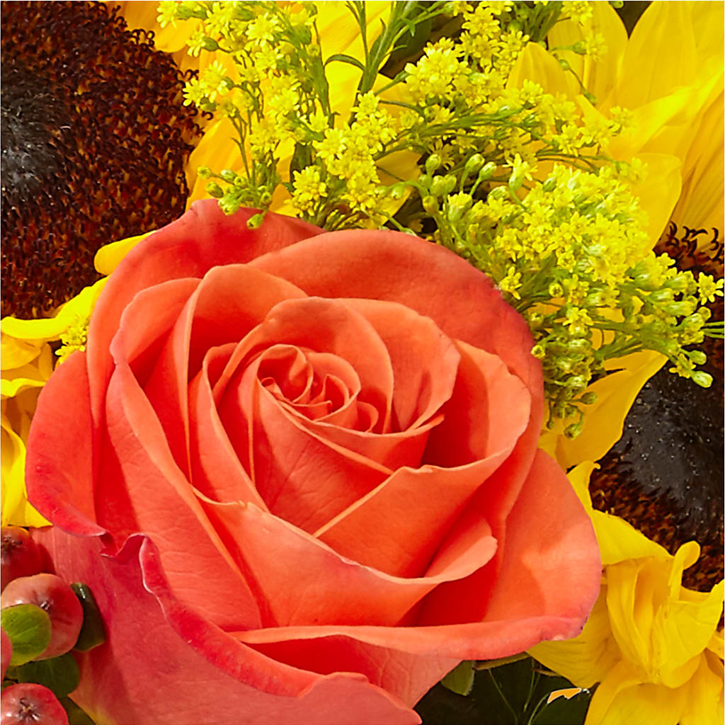Pick of the Patch Pumpkin Bouquet –  Floreria Mexico #2, Torrance CA
