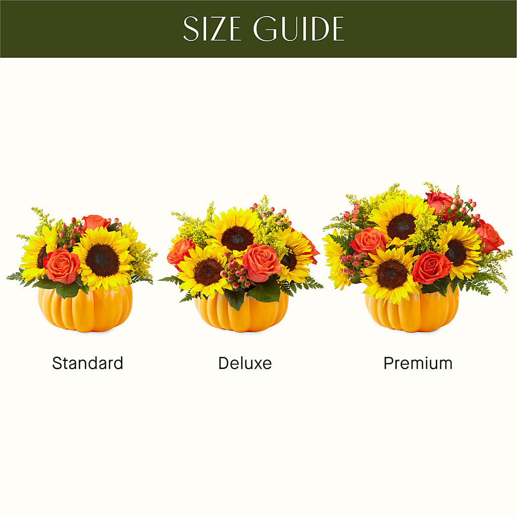Pick of the Patch Pumpkin Bouquet –  Floreria Mexico #2, Torrance CA