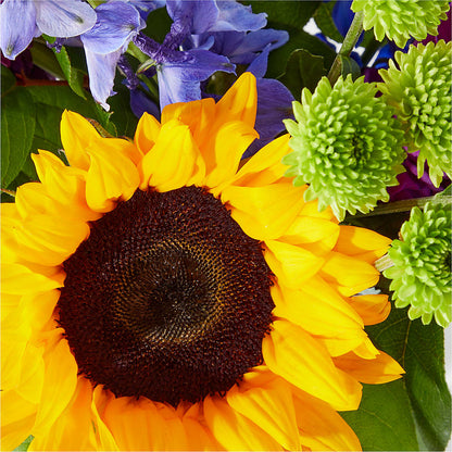 Catching Rays Bouquet –  Floreria Mexico #2, Torrance CA