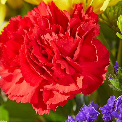 Brighter Days Bouquet –  Floreria Mexico #2, Torrance CA