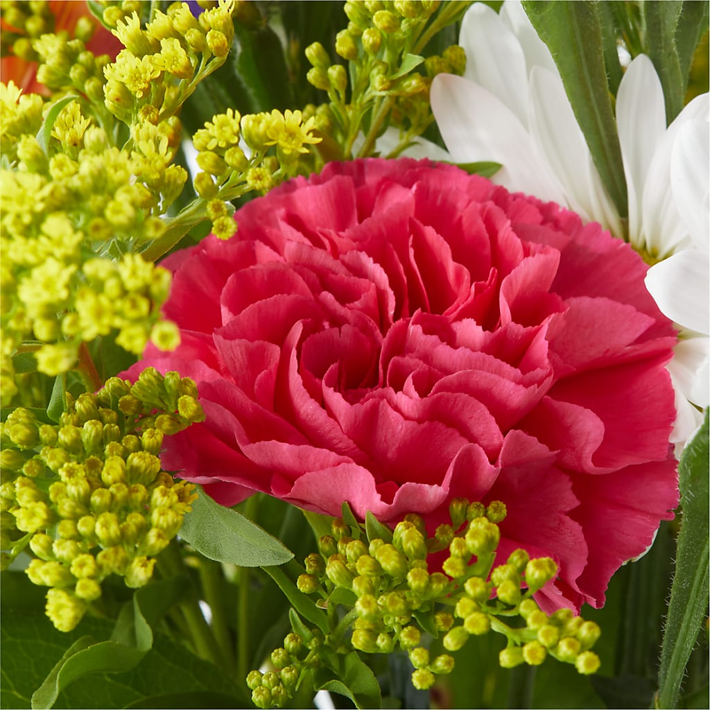 Oopsie Daisy Bouquet –  Floreria Mexico #2, Torrance CA