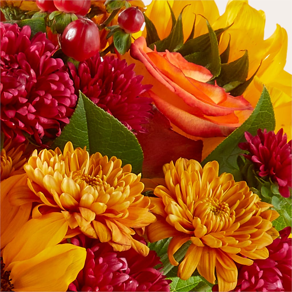 Sweater Season - A Florist Original –  Floreria Mexico #2, Torrance CA