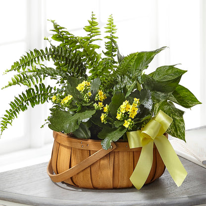 Always Dear Dishgarden –  Floreria Mexico #2, Torrance CA