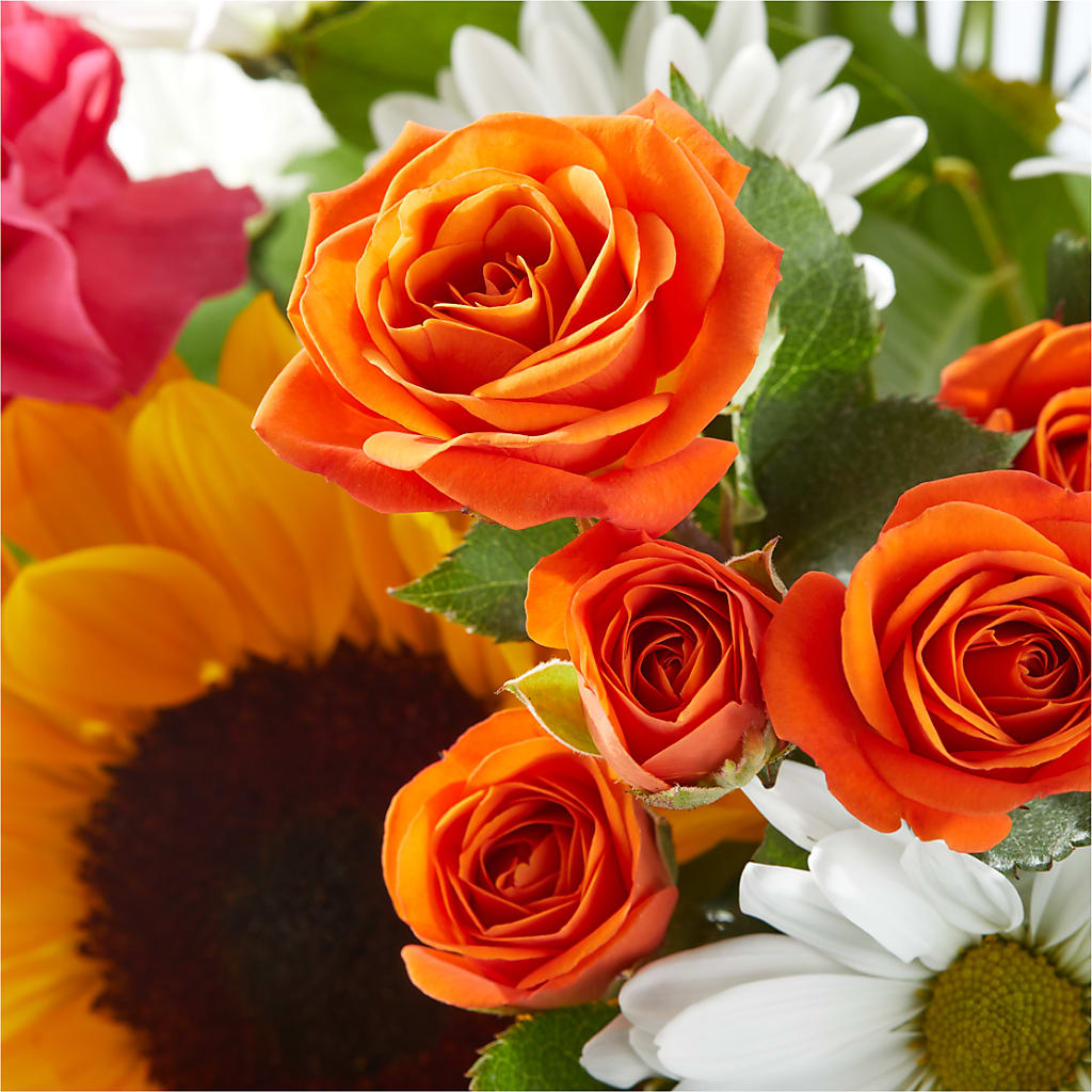 Sun-drenched Blooms Bouquet –  Floreria Mexico #2, Torrance CA