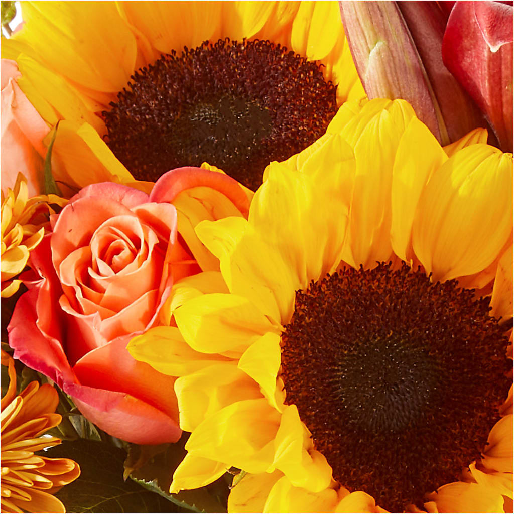 Acorn Lane Bouquet –  Floreria Mexico #2, Torrance CA