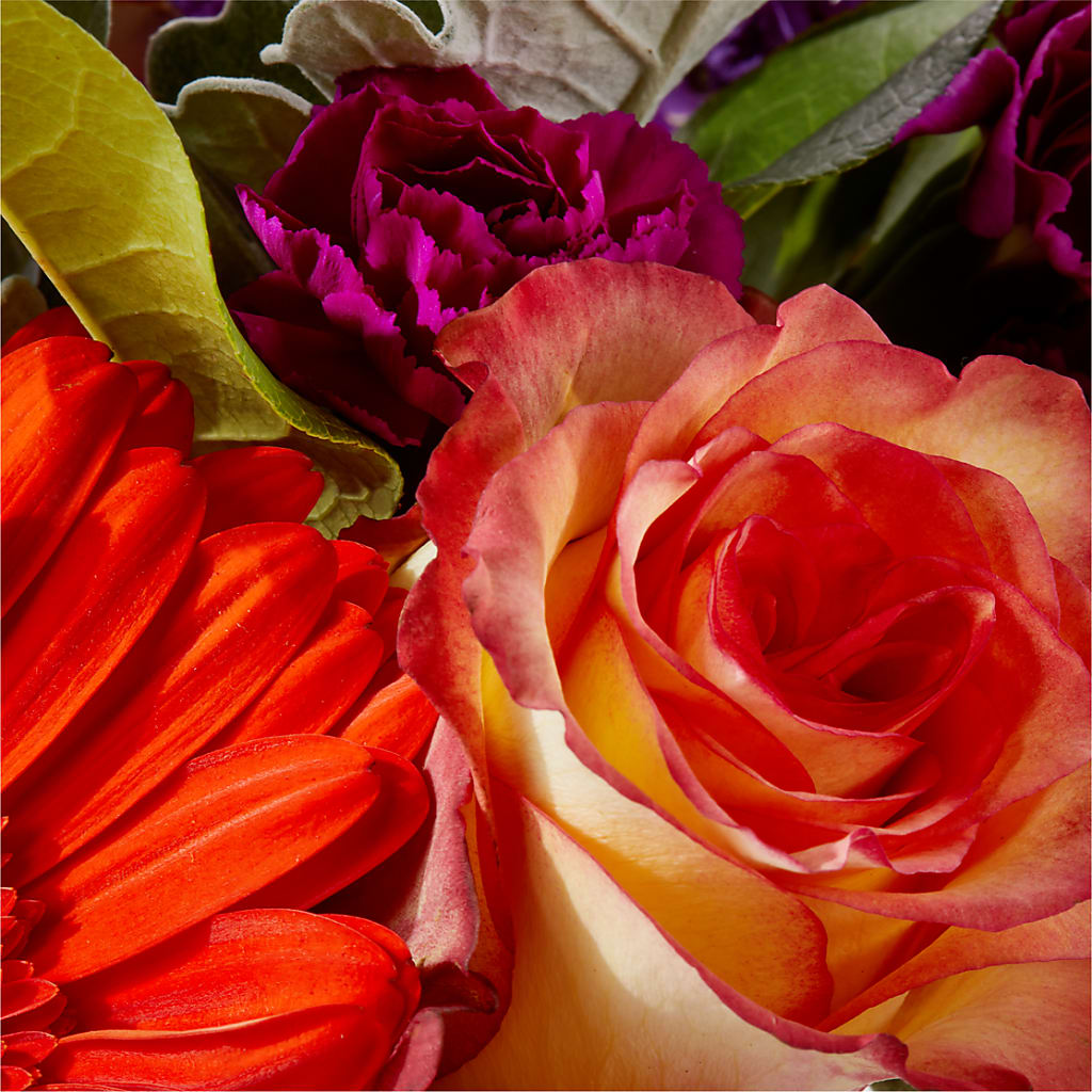 Sangria Bouquet –  Floreria Mexico #2, Torrance CA