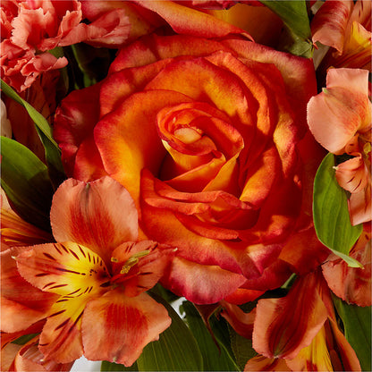 Apricot Glow Bouquet –  Floreria Mexico #2, Torrance CA