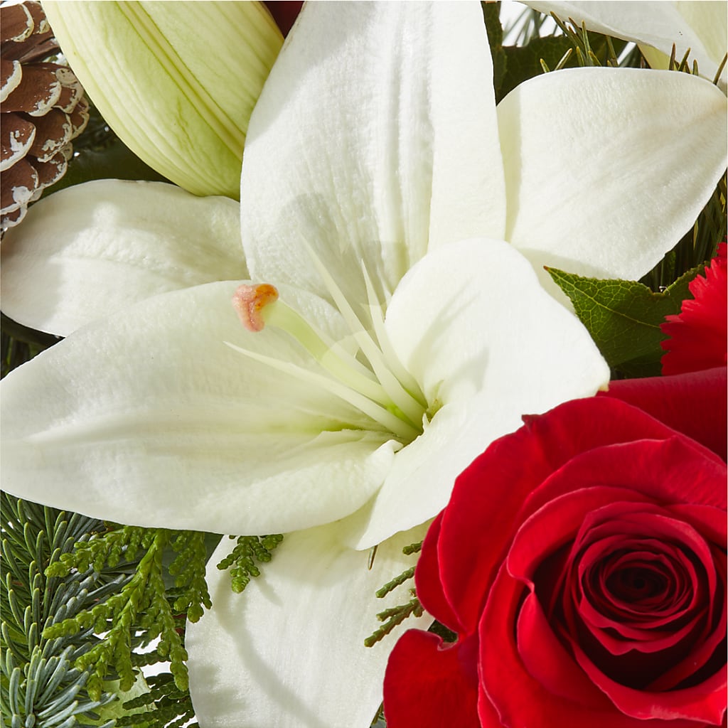 Oh So Jolly Bouquet –  Floreria Mexico #2, Torrance CA