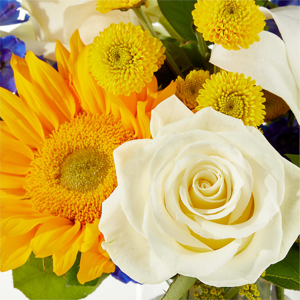 Stargazing Bouquet –  Floreria Mexico #2, Torrance CA