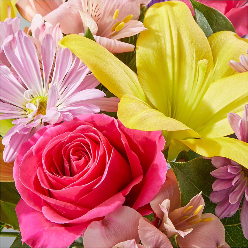 Sprinkles Bouquet –  Floreria Mexico #2, Torrance CA