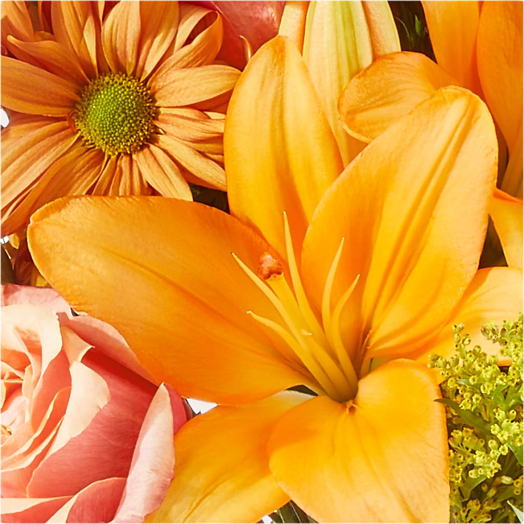 Harvest Hayride Bouquet –  Floreria Mexico #2, Torrance CA