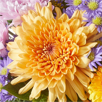 Countryside Bouquet –  Floreria Mexico #2, Torrance CA