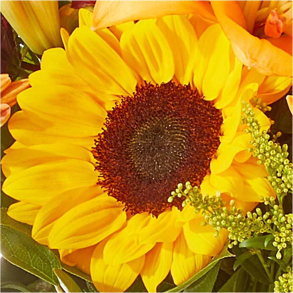 Seasons Change Bouquet –  Floreria Mexico #2, Torrance CA