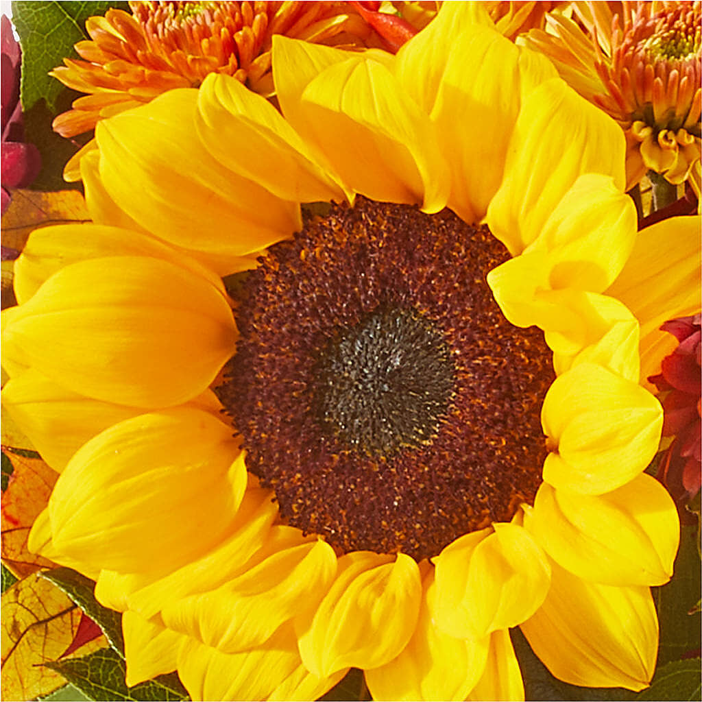 Sunny Side Bouquet –  Floreria Mexico #2, Torrance CA