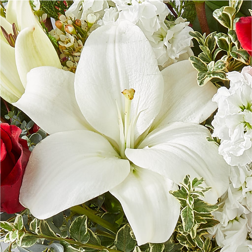 Twinkle Lights Bouquet –  Floreria Mexico #2, Torrance CA