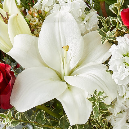 Twinkle Lights Bouquet –  Floreria Mexico #2, Torrance CA