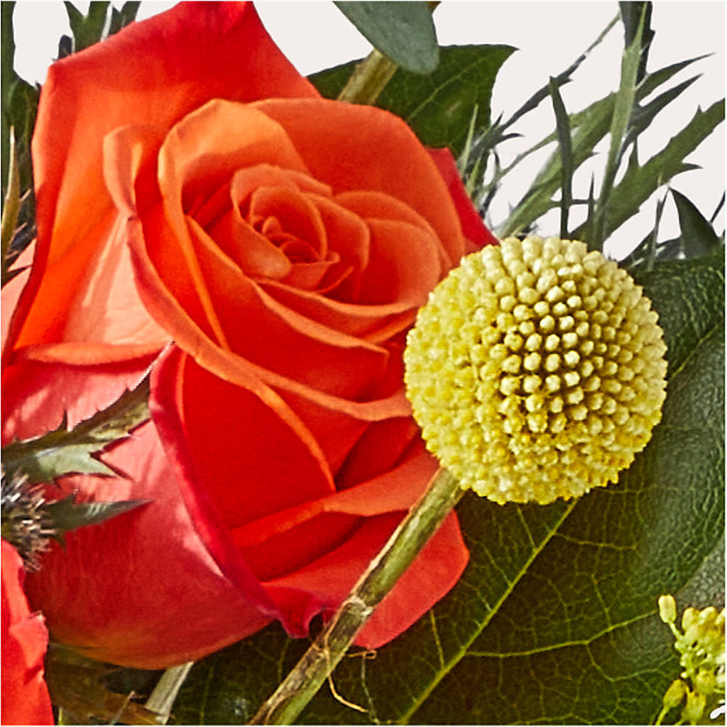Disco Bouquet –  Floreria Mexico #2, Torrance CA