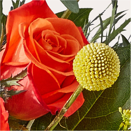 Disco Bouquet –  Floreria Mexico #2, Torrance CA