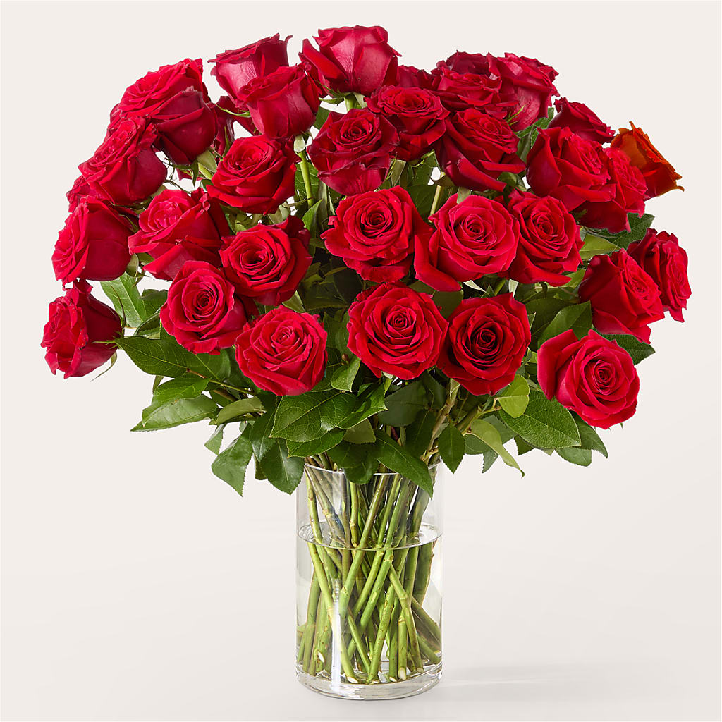The One Red Rose Bouquet –  Floreria Mexico #2, Torrance CA