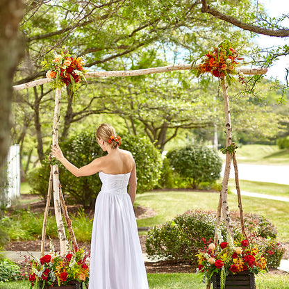 Arbor of Love Archway –  Floreria Mexico #2, Torrance CA