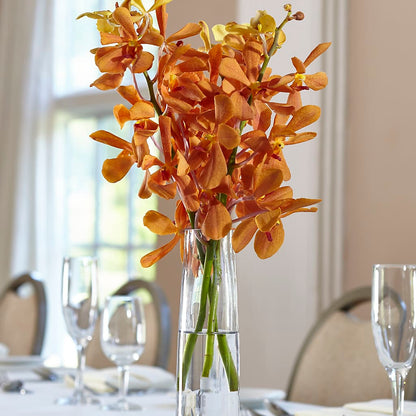 Orange Mokara Bud Vase –  Floreria Mexico #2, Torrance CA