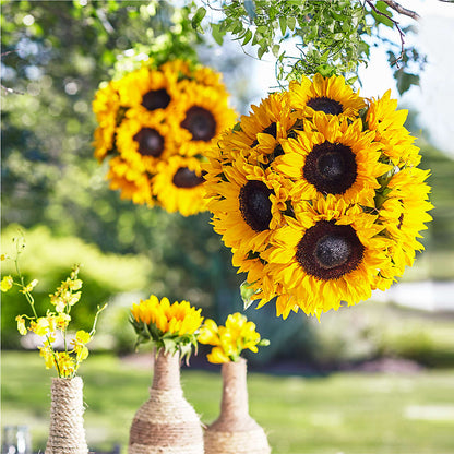 Sublime Garden Hanging Arrangement –  Floreria Mexico #2, Torrance CA